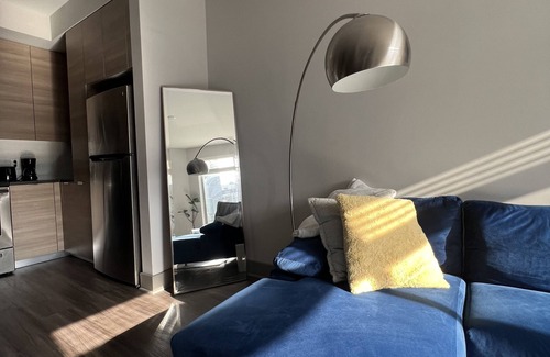 Northeast Apartment | Modern , luxurious, DC apartment with pool and gym