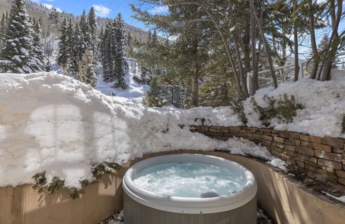 Telluride House | Modern Riverside Retreat, Steps from Gondola