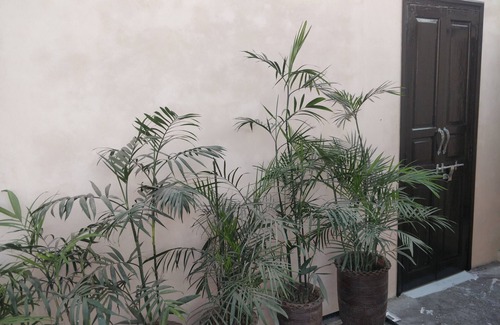 Amritsar House | modern room just 10 minute walk from golden temple for families