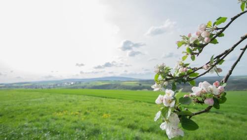 Schneppenbach Apartment | Moderne Wohnung mit Panorama