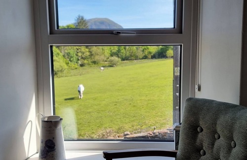 Ffestiniog Cottage | Moelwyn View Cottage