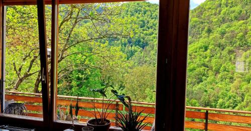 Kambresko Apartment | Moksha Slovenia