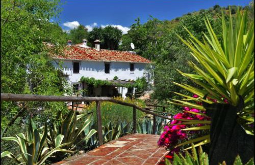 Riogordo House | Molino de Las Tablas