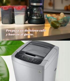 Cali Apartment | Mom's Apartment Family Business