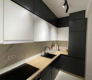 Bijeljina Apartment | Monarh