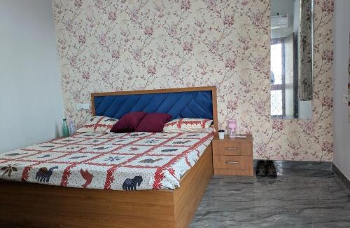 Jaipur District House | Monk stay