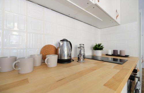 Nepszinhaz negyed Apartment | Monochrome Chic Apartments R61