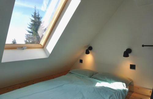 Lisina Ski Chalet | Montana Chalet