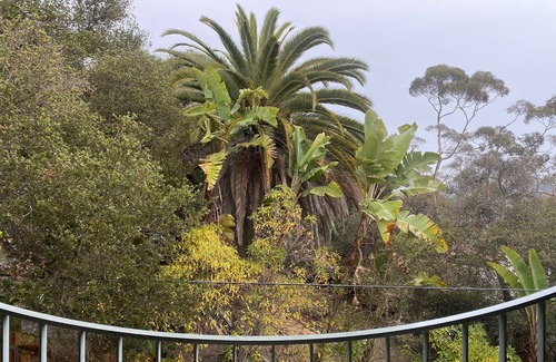Montecito Condo | Montecito Penthouse