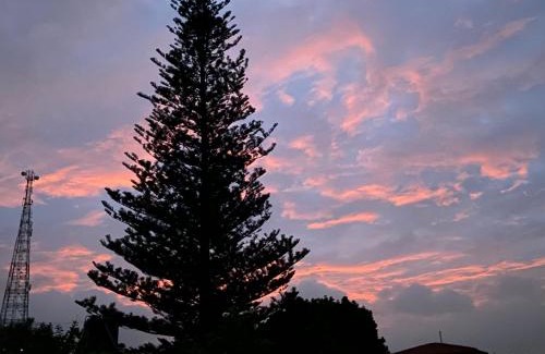 Wellington Bed & Breakfast | Moonlight Chillers By LexStays