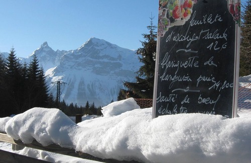 Les Esserts Apartment | Morillon 1100 Ski resort. Property for sale. Enquiries welcome