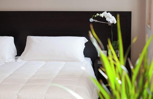 Quartiere Oltre Savio Hotel | Mosaico Suite
