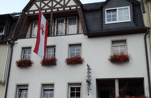 Zell Apartment | Mosel Loft with Vineyard Patio