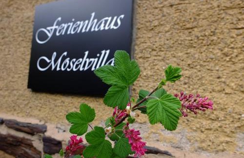 Enkirch Villa | Moselvilla Enkirch