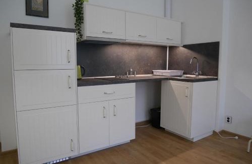 Karlovy Vary Apartment | Moskevská 40