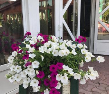 Bugojno Hotel | Motel HEKO
