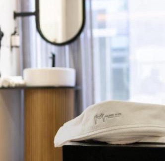Zona Expo Hotel | Motel Millenium