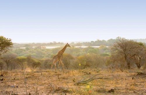 Thorny Bush Game Reserve Cabin | Motlala Game Lodge