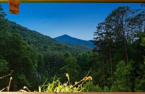 Bryson City House | Mountain Air Hot Tub-Fire Pit
