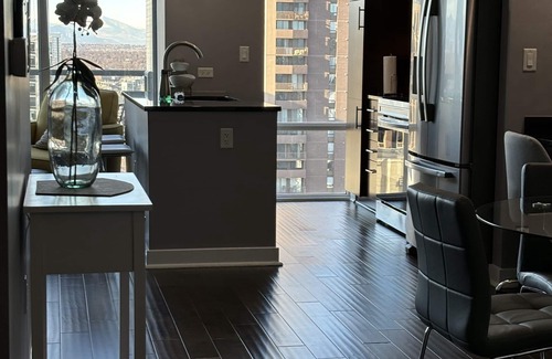 Downtown Denver Condo | Mountain and city views~Spire luxury Condo