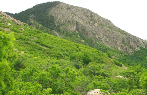Roy House | Mountain and recreation at your finger tips