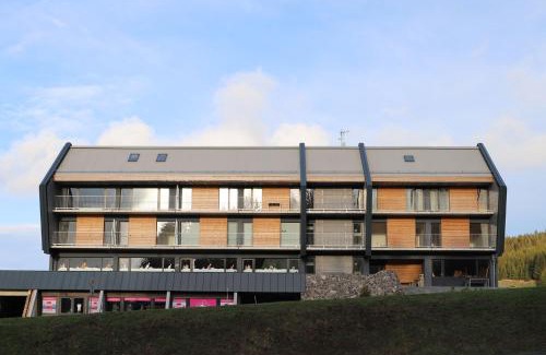 Loucna Pod Klinovcem Apartment | Mountain Apartments Klínovec Hexagon