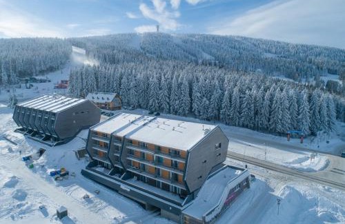 Loucna Pod Klinovcem Apartment | Mountain Apartments Klínovec Hexagon