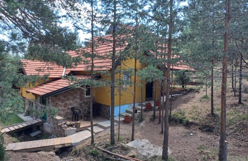 Zlatibor House | Mountain Cottage Wolf
