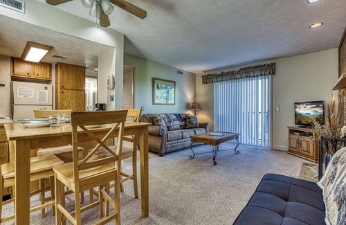 Pittman Center Condo | Mountain Escape , Pool Access, $685 tickets per paid day, Mountain Views!
