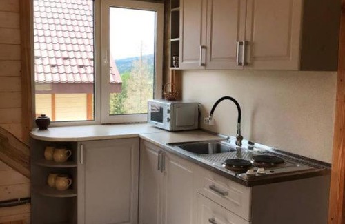 Mykulychyn House | Mountain hut Kostel House