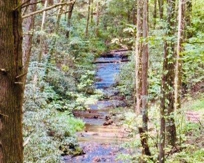 Blue Ridge Ski Chalet | Mountain Ridge Retreat Cozy Blue Ridge Cabin with Hot Tub