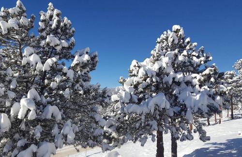 Nederland Apartment | Mountain sanctuary! A Sweet Suite above Nederland, Colo.
