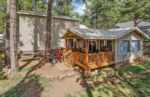 Flagstaff Cabin | Mountain Town Hideaway with Treehouse 🏕