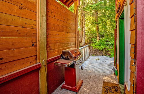 Hyak Cabin | Mountain-view lodge with gas grill, washer/dryer, & WiFi - walk to ski lifts