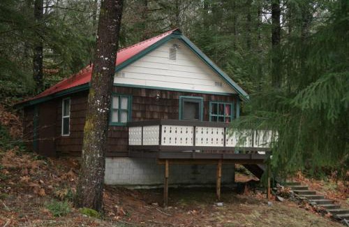 Packwood House | Mountainside Chalet - Tiny Home