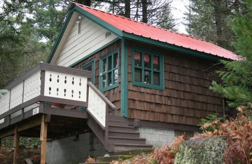 Packwood House | Mountainside Chalet - Tiny Home