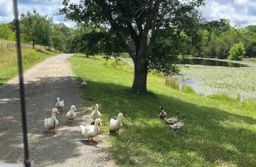 Boyd Tavern House | MountainView Farm Getaway