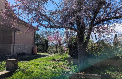 Montauban Apartment | Moustier