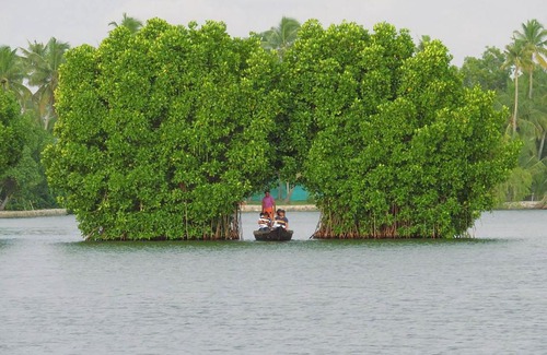 Munroe Island House | Mullavayalil Tourist Home