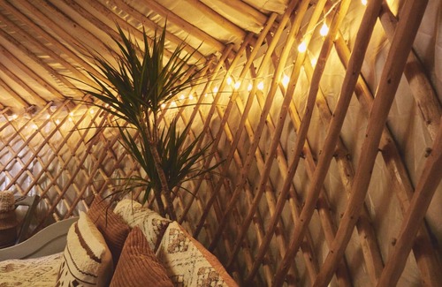 Glandyfi Cabin | Mushroom Yurt set in 4 acres of woodland and lakes