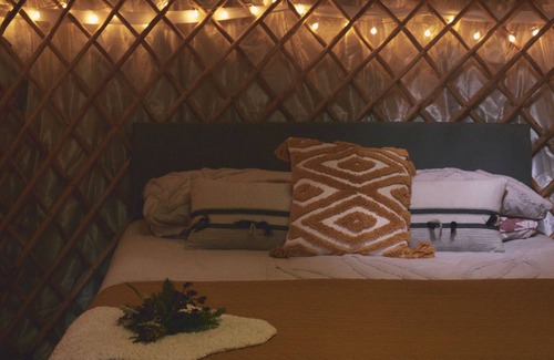 Glandyfi Cabin | Mushroom Yurt set in 4 acres of woodland and lakes