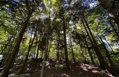 Torrance RV Rental | Muskoka Glamping Structure 9
