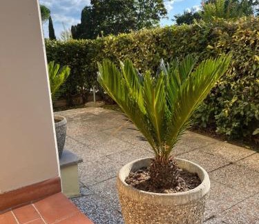 Peccioli Apartment | My Home in Peccioli