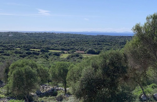 Binibequer Vell Villa | My Rental Homes | Villa Miki with private pool and garden