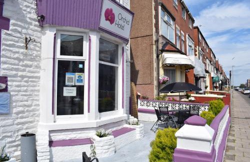 Blackpool Town Center House | MyRoomz Orchid Hotel