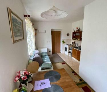 Vysoke nad Jizerou Apartment | Nádherný klidný apartmán s infrasaunou