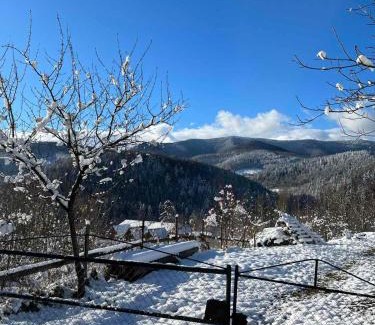 Yaremche House | Na Velykim