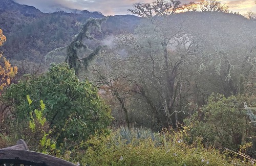 Calistoga House | Napa Valley - Spectacular Wine Country Cottage in Vineyard