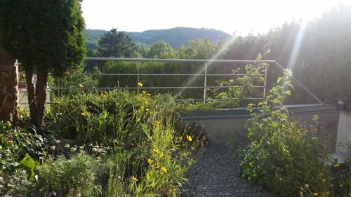 Orfu Apartment | Naposdombi Apartmanok