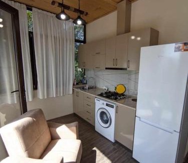 Kobuleti House | Natia's house
